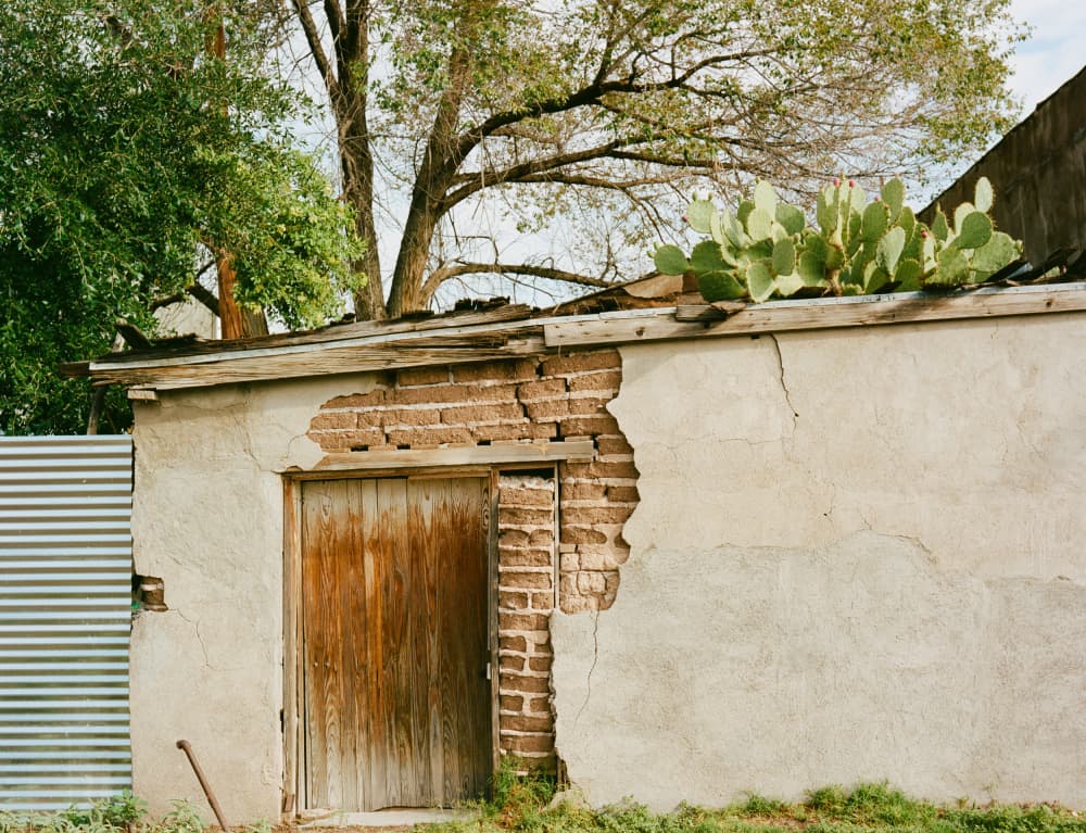 Weathered Adobe Cactus Door by Bethany Young — canvas wall art