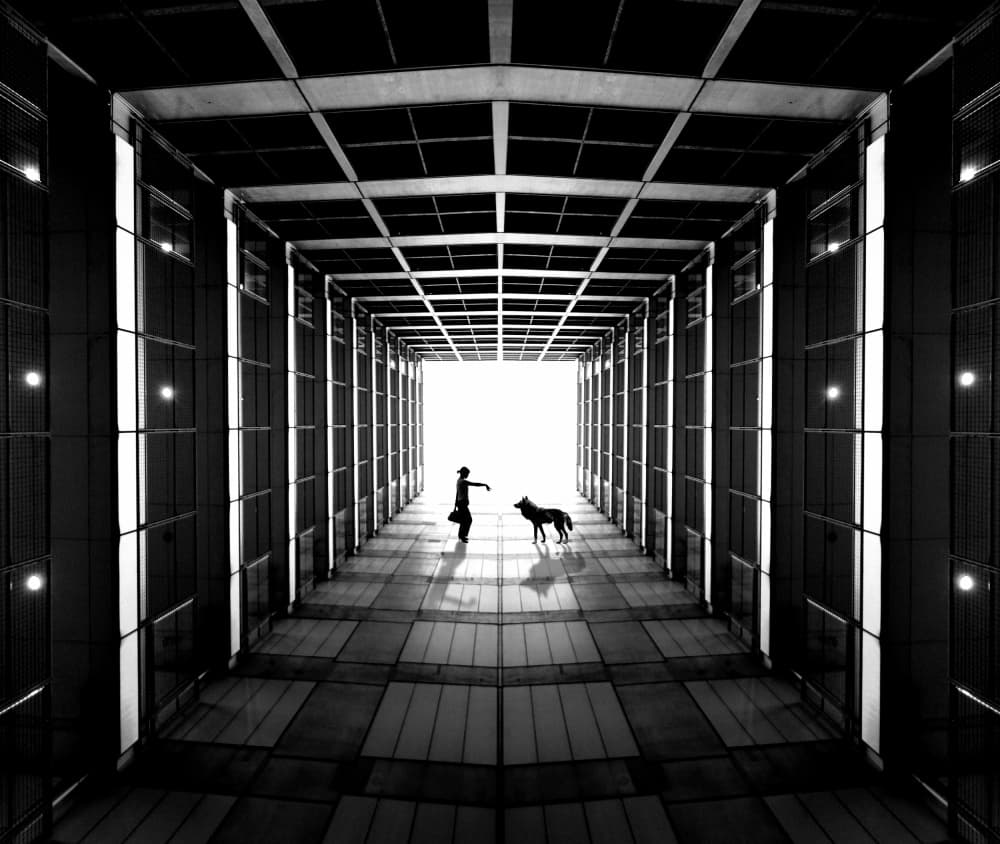 Contact by Koji Tajima — canvas wall art