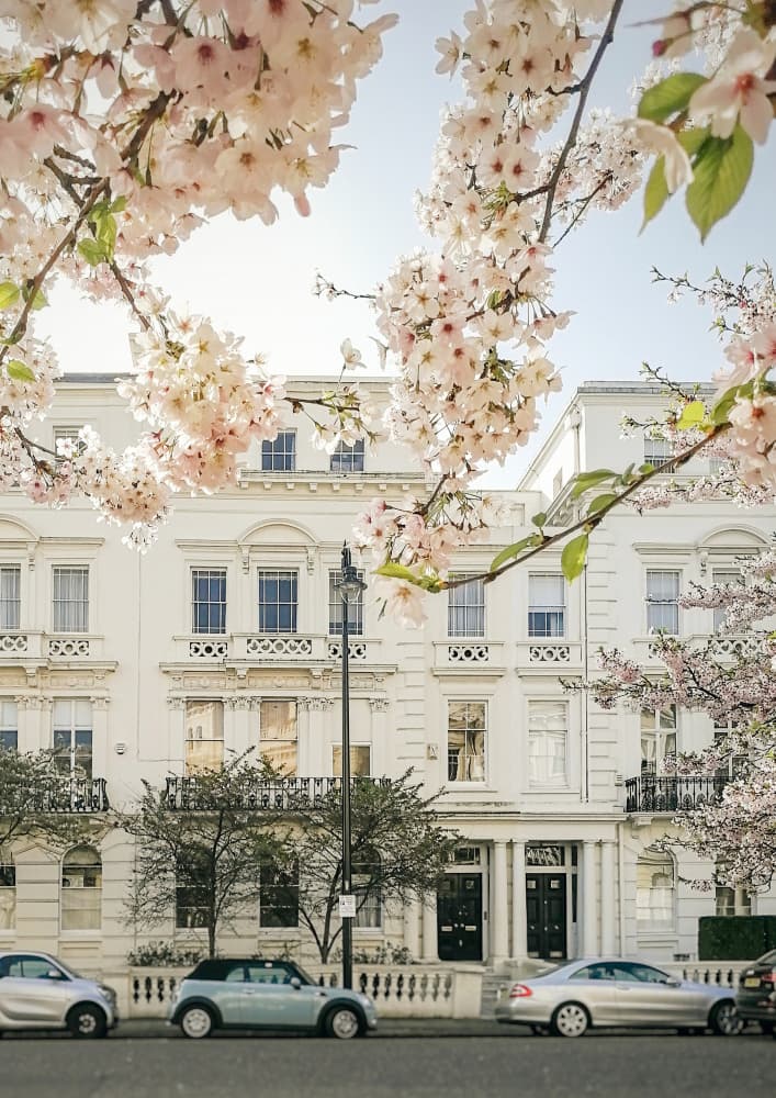 London Spring Blossoms by Talitha McQueen — canvas wall art