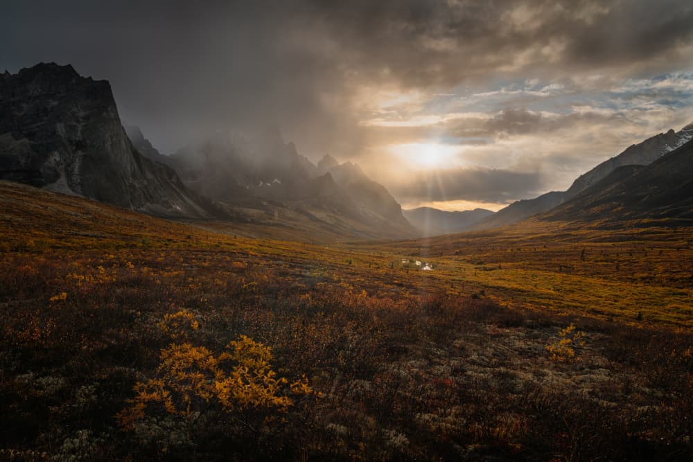 Golden Valley Sun Rays by Willa Wei — canvas wall art