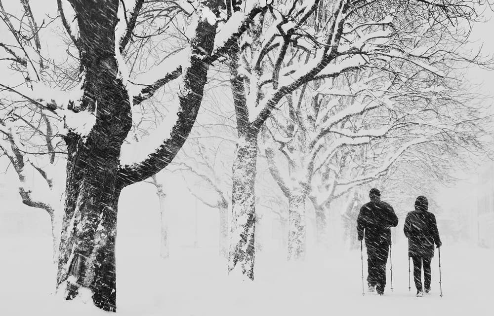 Snowy Winter Walk by Samanta Krivec — canvas wall art