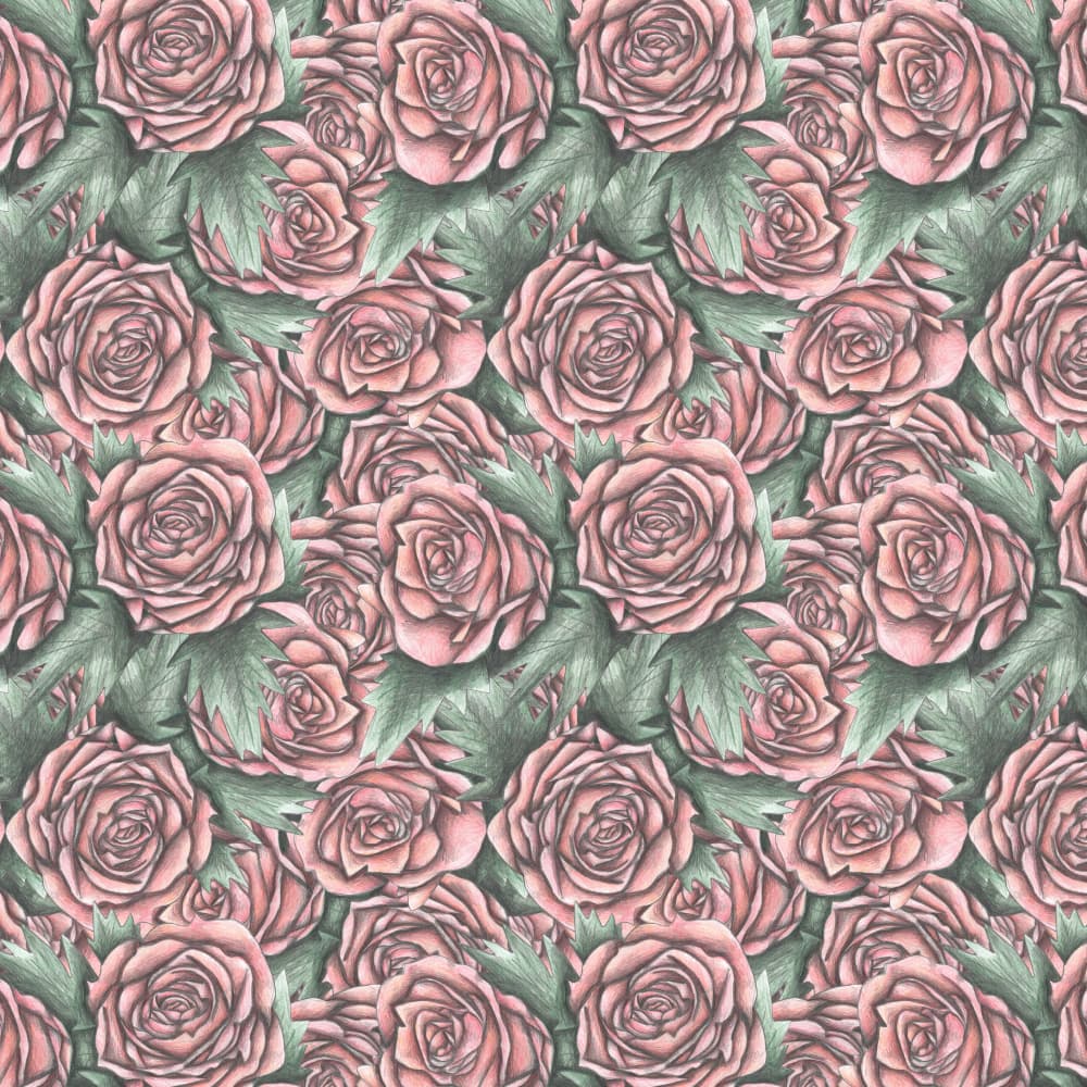 Blush Pink Roses by Cecilia Battaini — canvas wall art