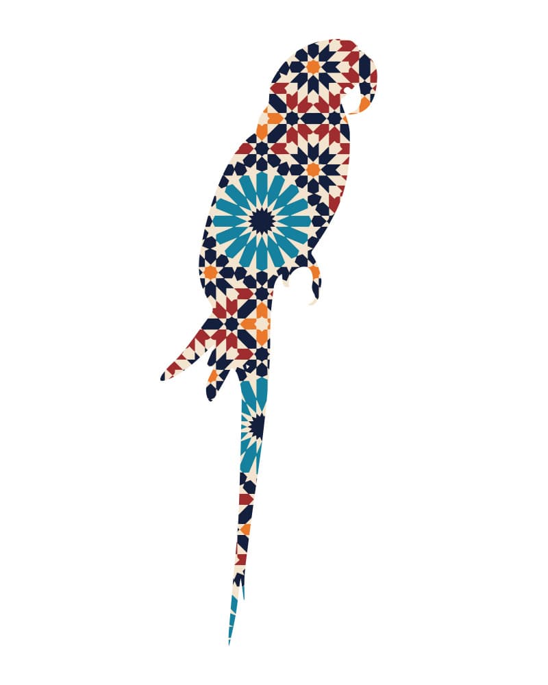 Colorful Moroccan Parrot by Emiliano Deificus — canvas wall art