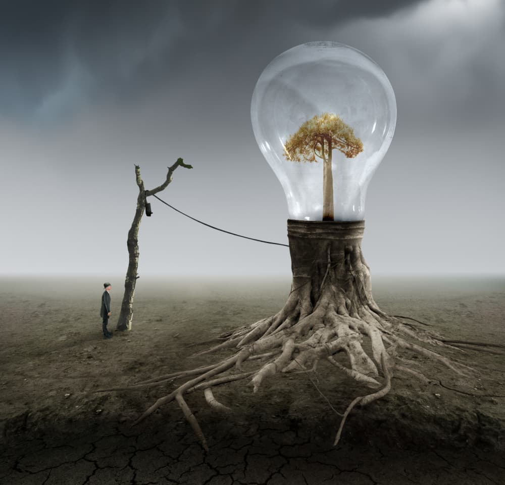 Lightbulb Tree Idea by Biao Huang — canvas wall art