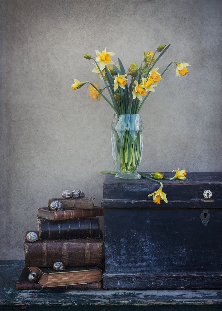 Spring Daffodil Still Life by Dimitar Lazarov - Dim — canvas wall art
