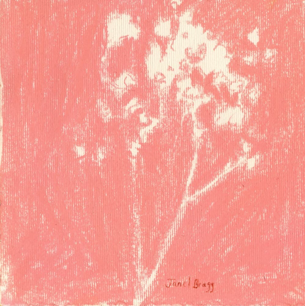 Delicate Peach Bloom by Janel Bragg — canvas wall art