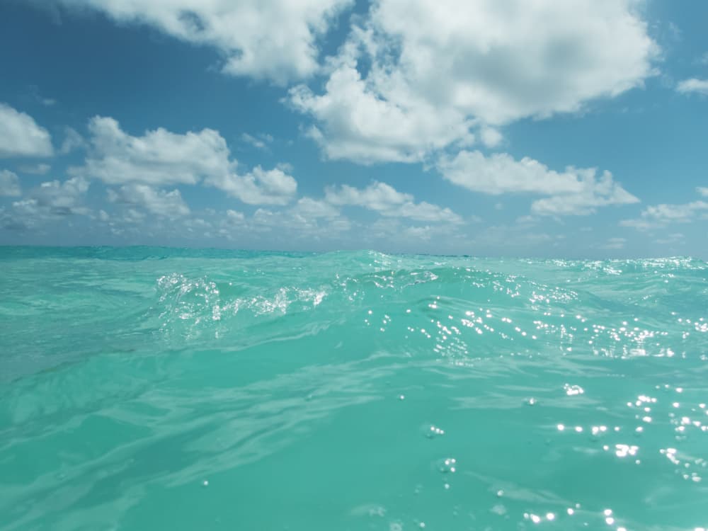 Calm Turquoise Water Horizon by Bethany Young — canvas wall art