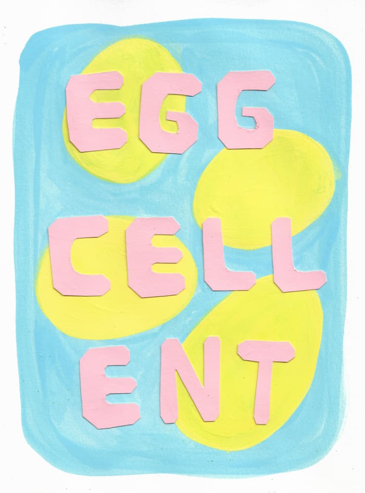 Eggcellent Pun by Lerin Freyou — canvas wall art