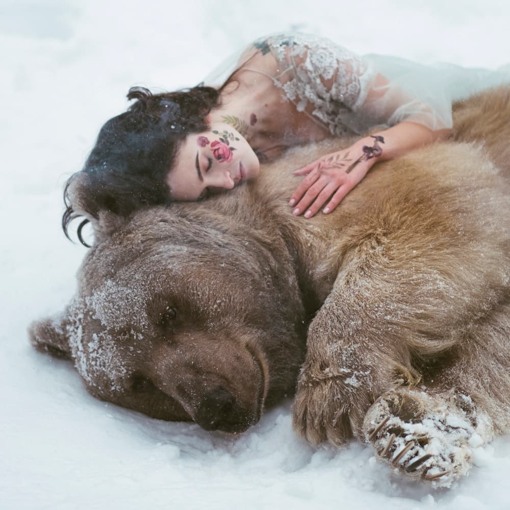 Serene Winter Slumber by Olga Barantseva — canvas wall art