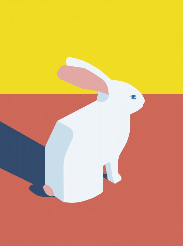White Geometric Rabbit by DARIA IVANOVNA — canvas wall art