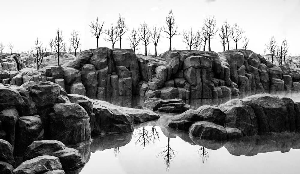 Stark Winter Landscape by Gilbert Claes — canvas wall art