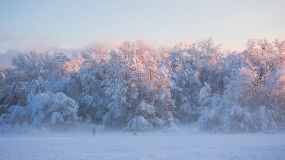 Serene Winter Wonderland by Uschi Hermann — canvas wall art