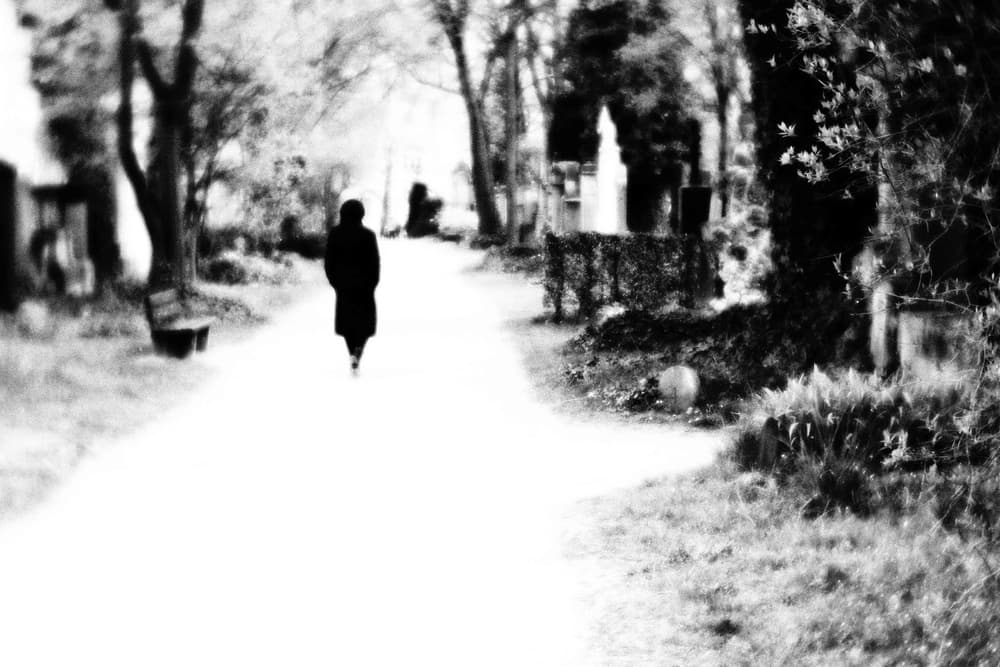 Solitary Cemetery Walk by Vincenzo Pascale — canvas wall art