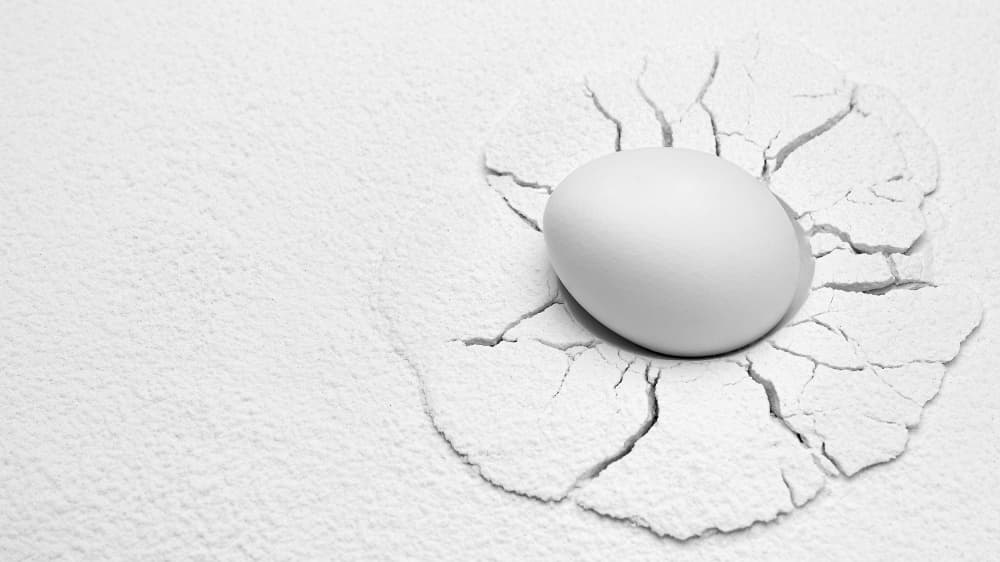 White Egg in Cracked Powder by Drazen Sokac — canvas wall art