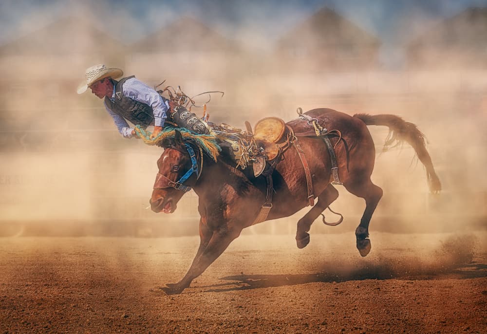 Rodeo Cowboy Bucking Horse by Ben.C.L — canvas wall art