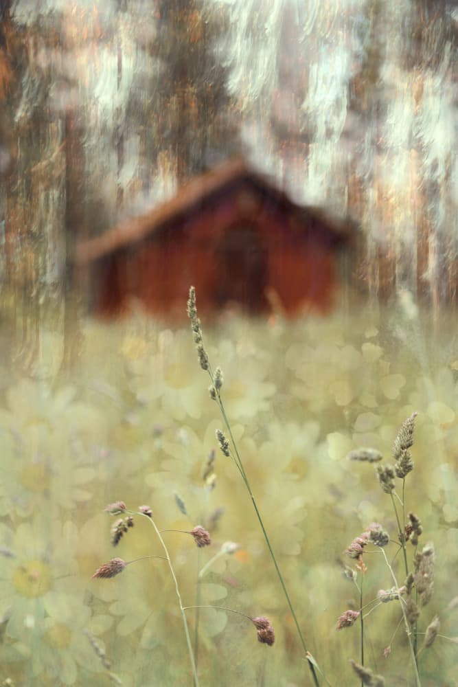Peaceful Barn Field by Christina Sillen — canvas wall art
