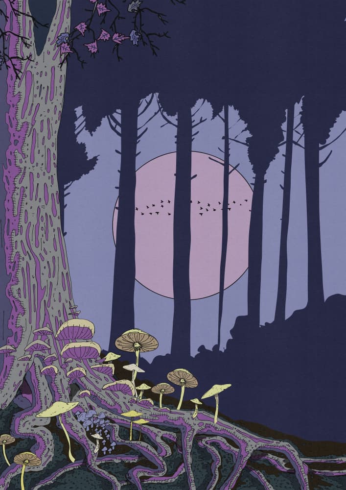 Enchanted Forest Moon by Nicholas — canvas wall art