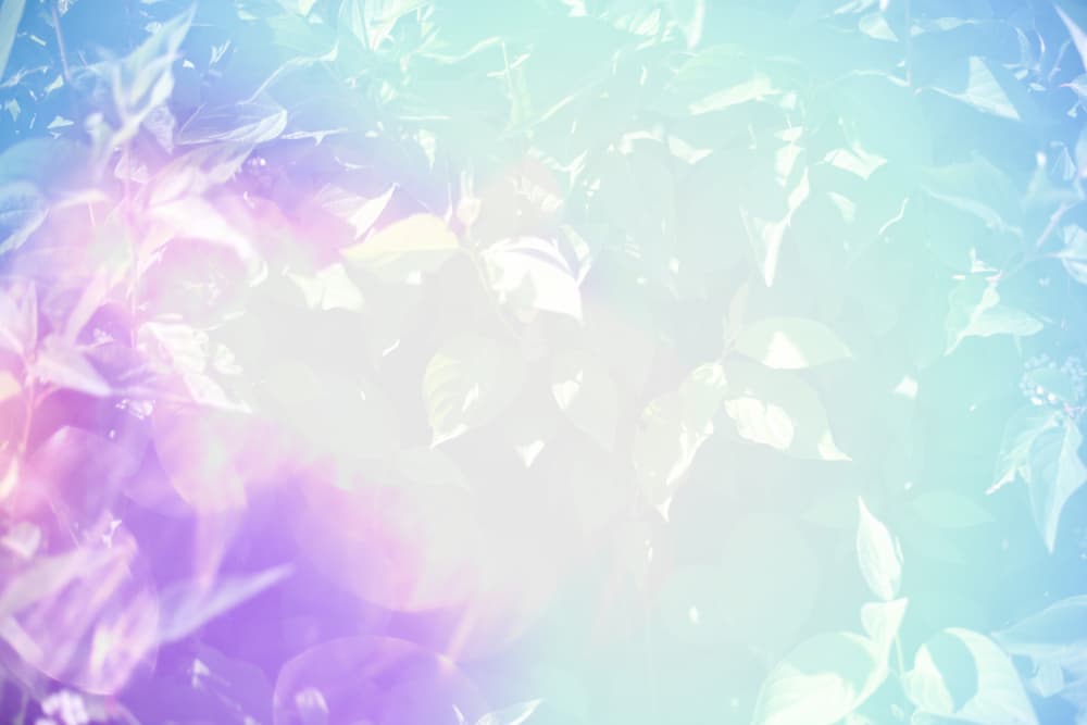 Dreamy Pastel Leaves by Lynann Colligan — canvas wall art