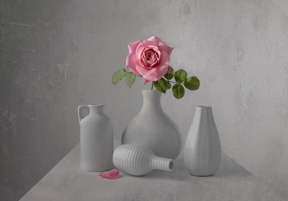Delicate Pink Rose Still Life by Margareth Perfoncio — canvas wall art