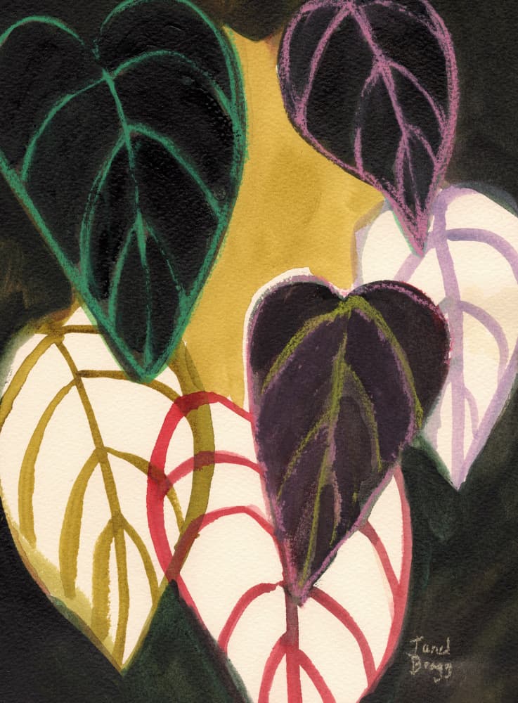 Vibrant Abstract Leaves by Janel Bragg — canvas wall art