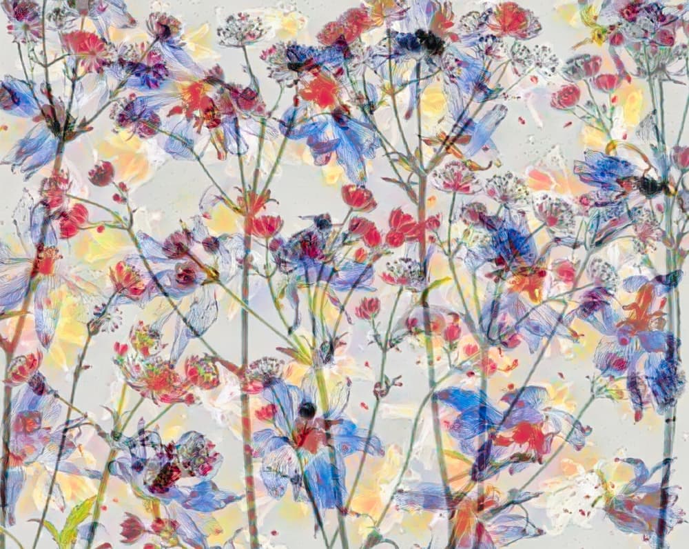 Vibrant Floral Layers by Saskia Dingemans — canvas wall art