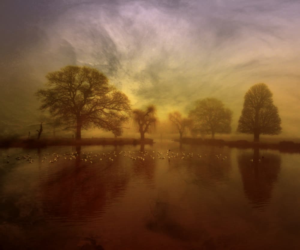 Misty Lake Reflections by Robert Fabrowski — canvas wall art