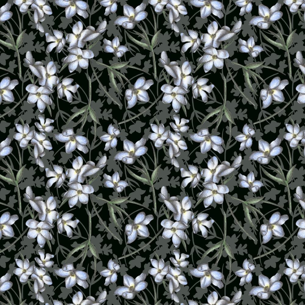 Dark Floral Elegance by Cecilia Battaini — canvas wall art