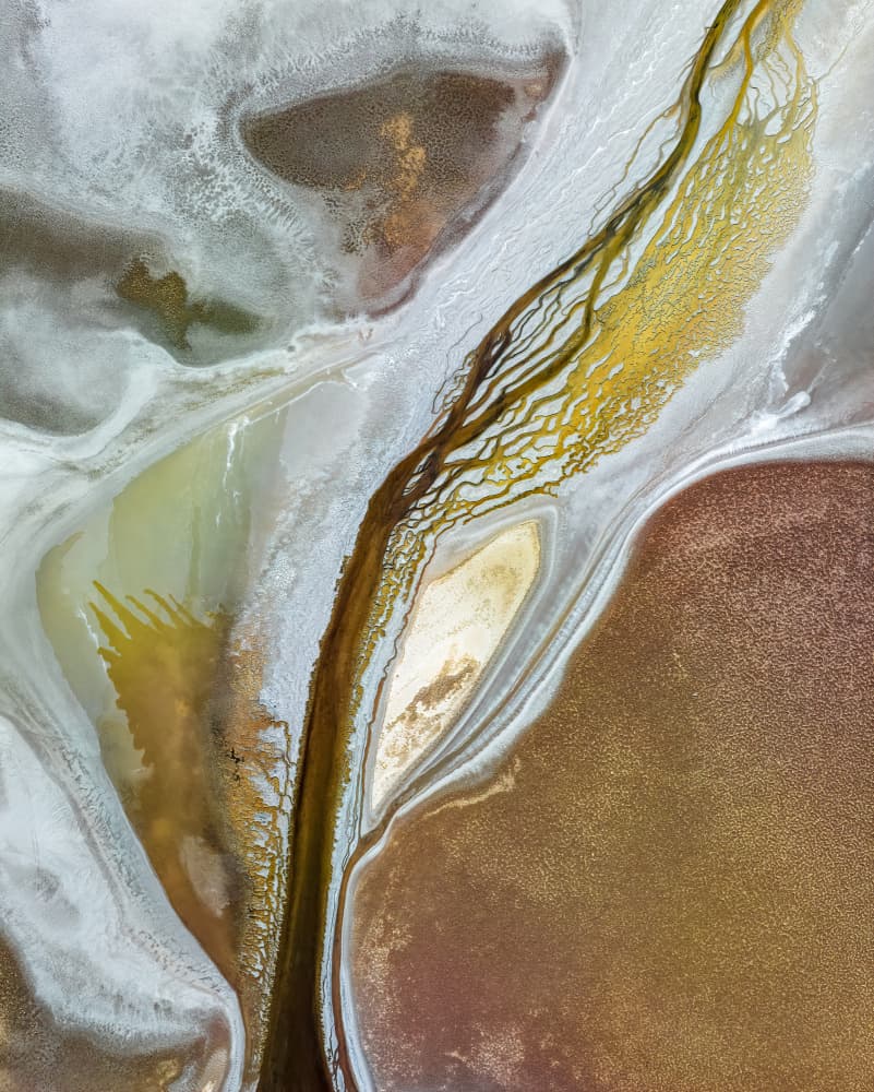 Golden River Delta by Shenshen Dou — canvas wall art