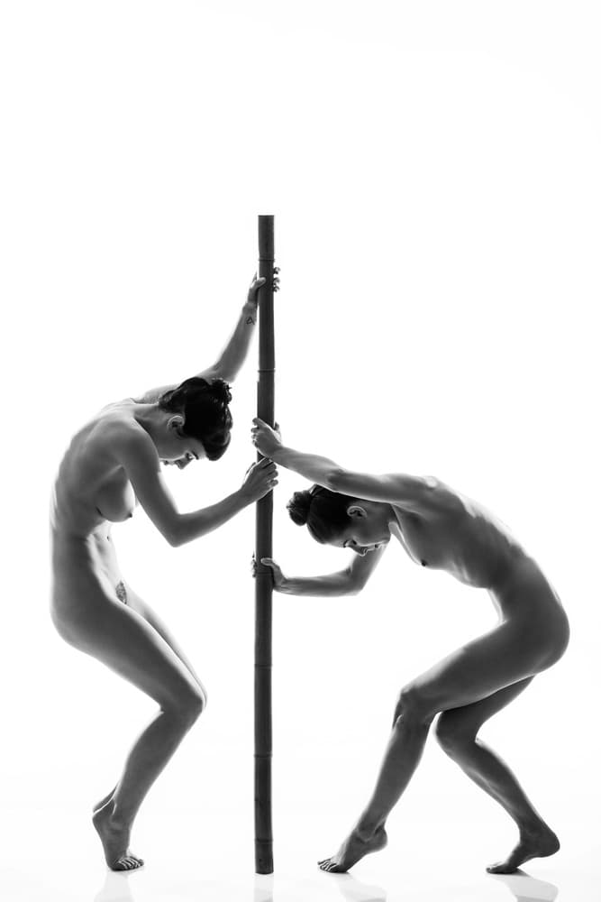 Elegant Nude Forms by JAE — canvas wall art