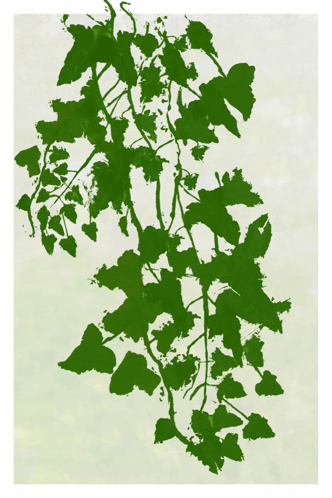 Cascading Greenery by cartissi — canvas wall art