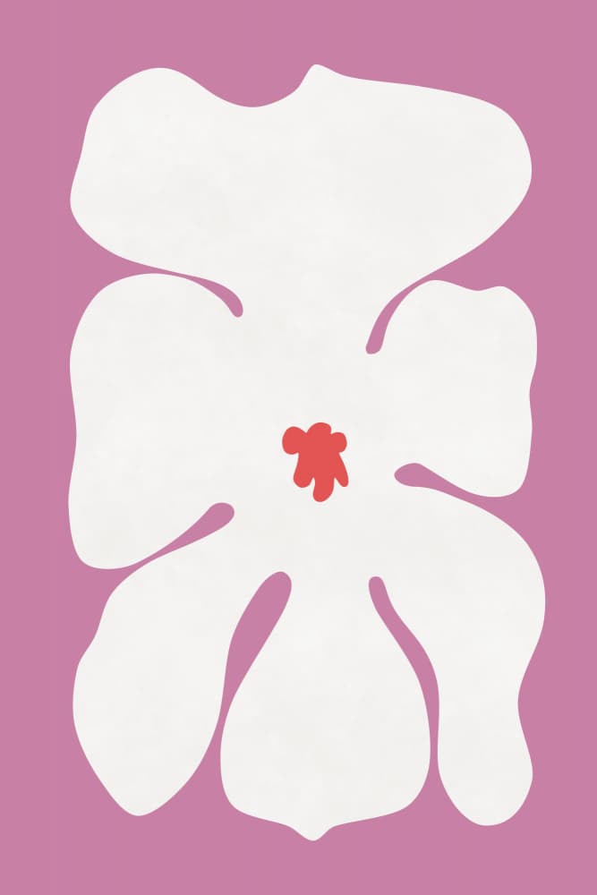 Abstract Pink Bloom by amini54 — canvas wall art