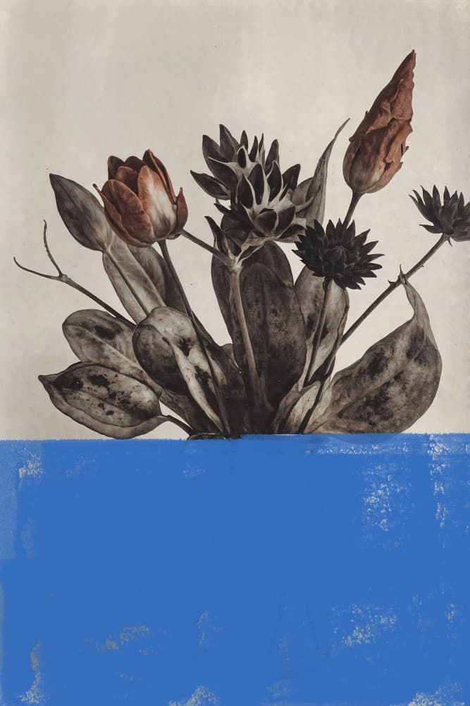 Vintage Blooms Blue Contrast by The Art Concept — canvas wall art