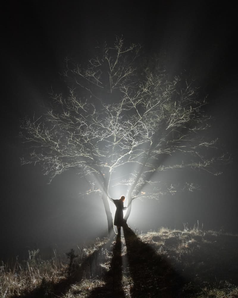 Ethereal Night Tree by Leszek Paradowski — canvas wall art