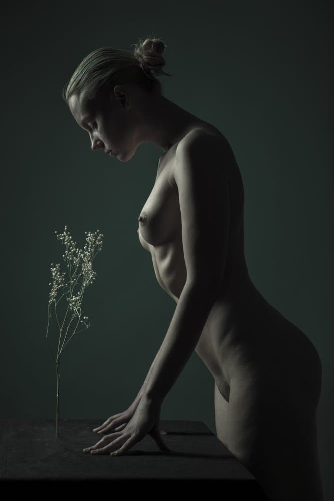 Seed by AURIMAS VALEVICIUS — canvas wall art