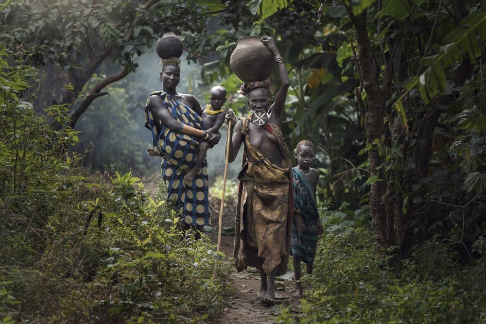 African Forest Journey by Sarawut Intarob — canvas wall art