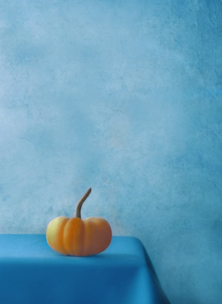 Orange Pumpkin Blue Table by Delphine Devos — canvas wall art