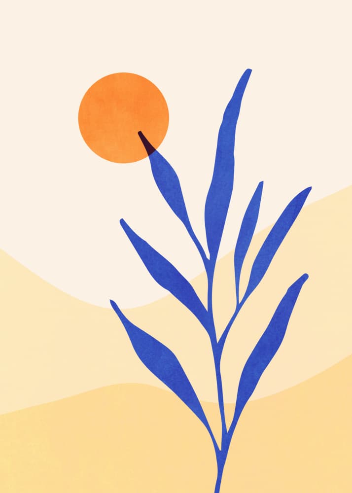 Desert Flora by Kristian Gallagher — canvas wall art