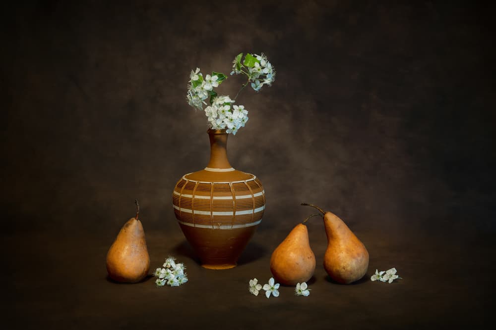 Rustic Still Life Blossoms by Siyu_Wei APA — canvas wall art