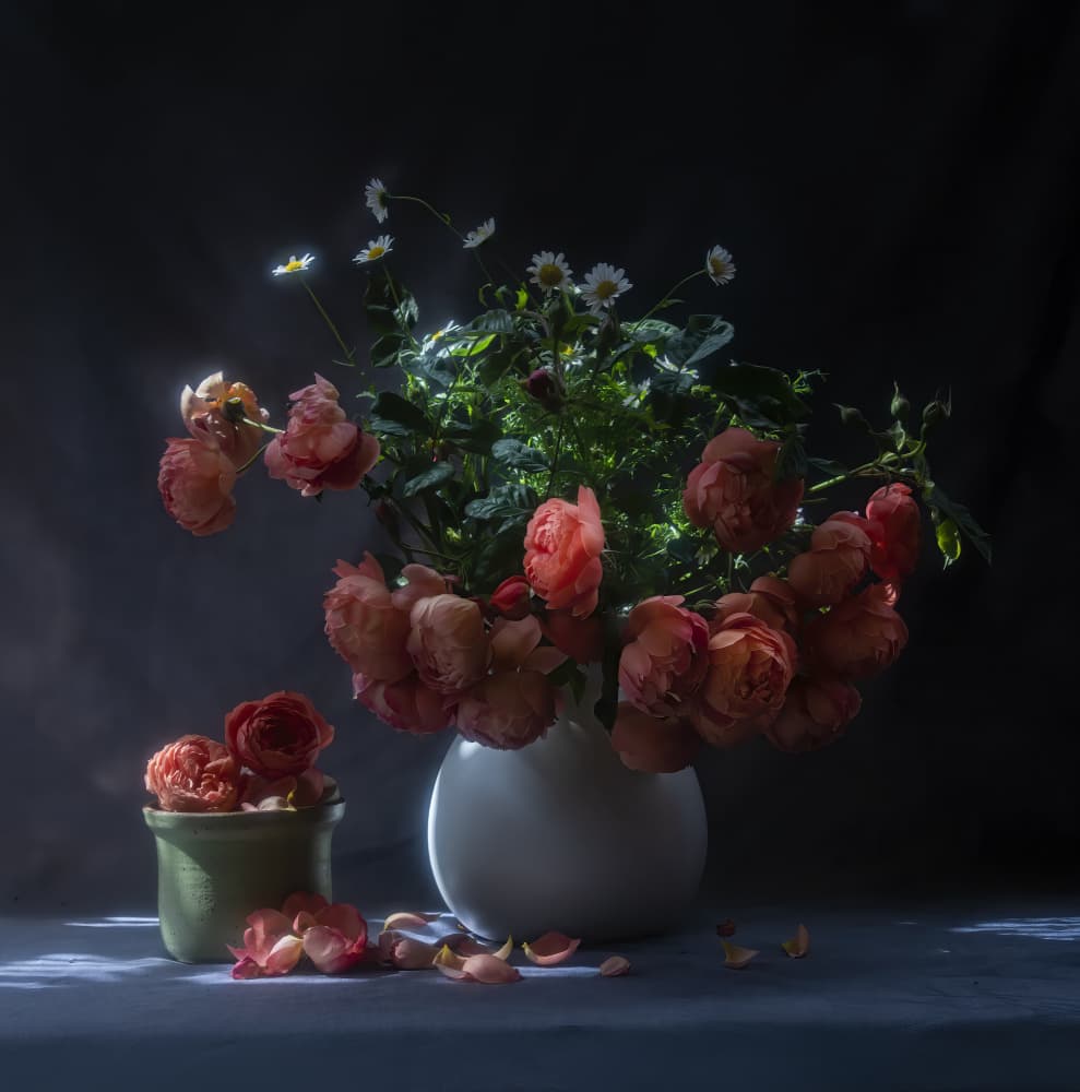 Moody Roses Still Life by Judy Tseng — canvas wall art