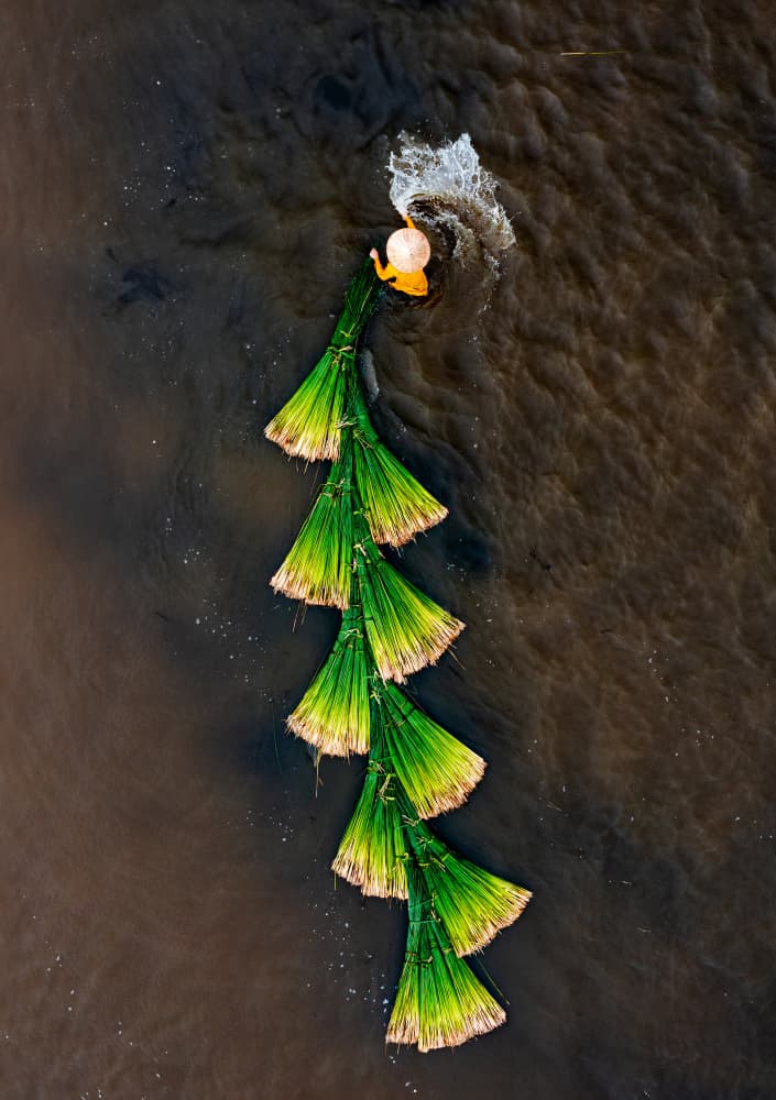 Floating Green Harvest by Tran Van Truong — canvas wall art