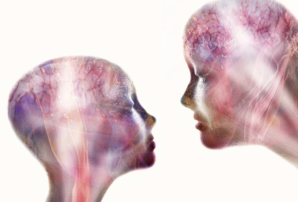 Connected Minds by Heidi Westum — canvas wall art