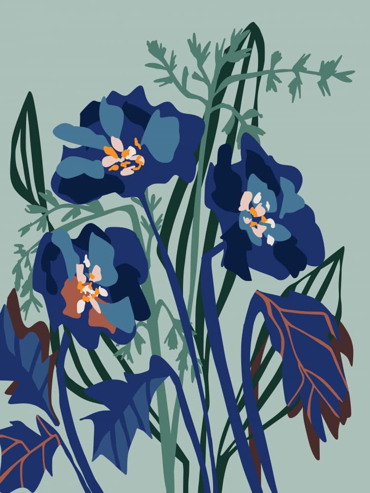 Modern Blue Botanicals by Annick — canvas wall art
