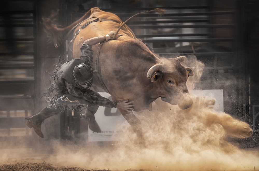 Intense Bull Ride by Larry Deng APA — canvas wall art