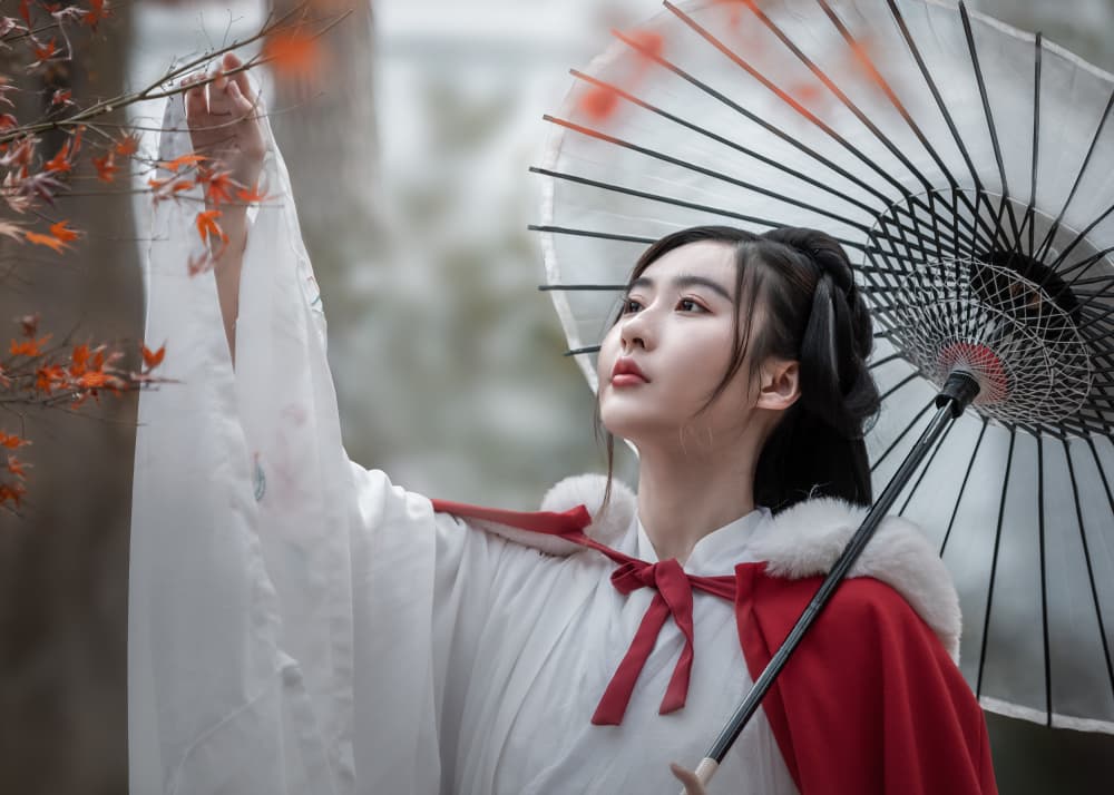 Traditional Autumn Grace by Irene Wu — canvas wall art