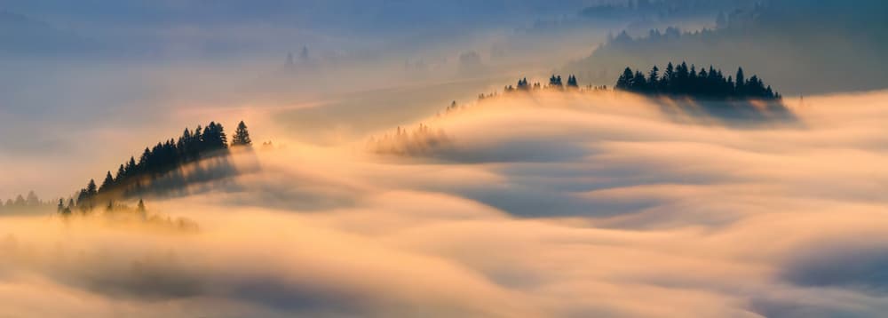 Golden Morning Mist by Wojciech Kruczynski — canvas wall art