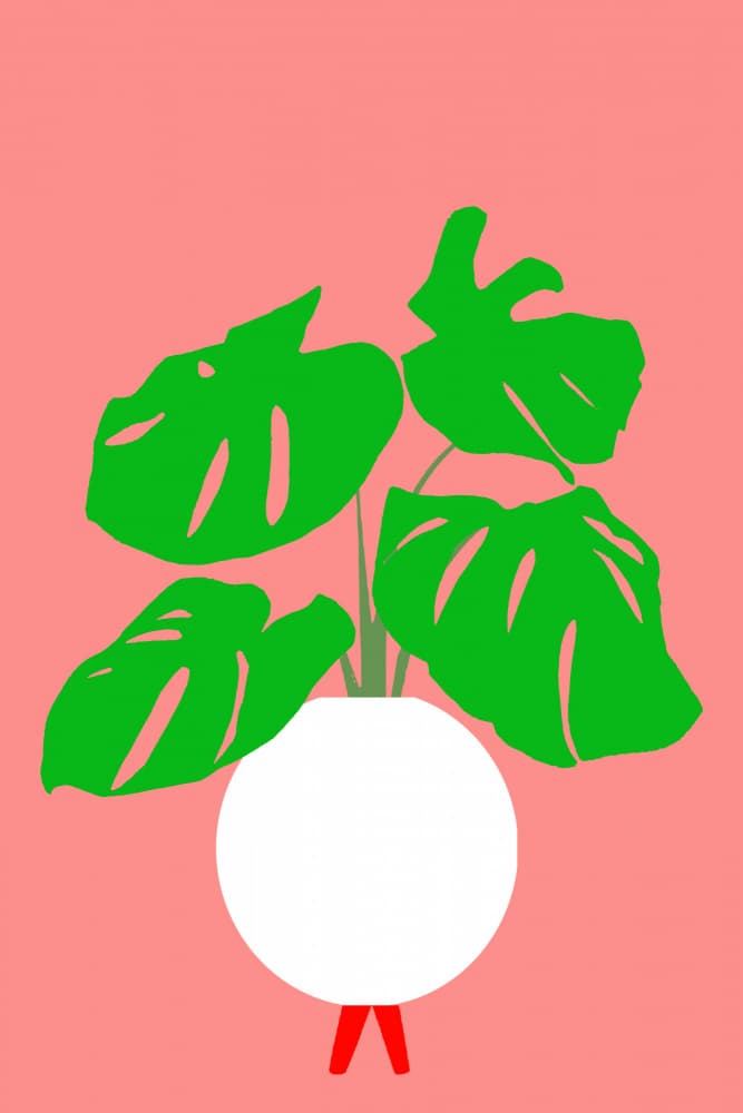Vibrant Monstera Houseplant by casa cartissi — canvas wall art