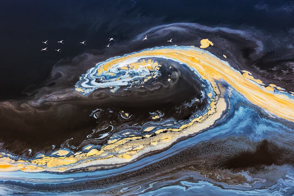 Birds Over Golden Flow by Jun Zuo — canvas wall art