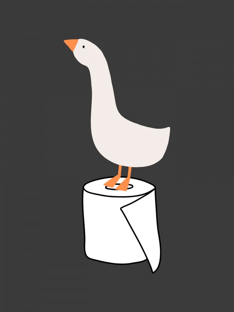 Funny Goose On Toilet Paper by Jolly and Dash — canvas wall art