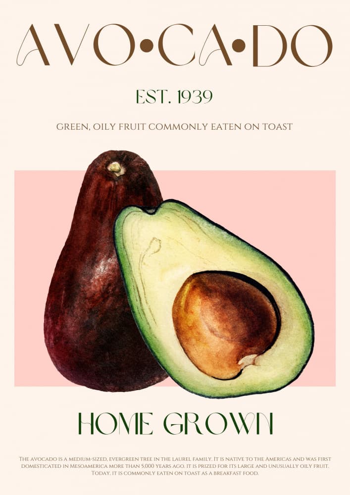 Illustrated Avocados by Nazma Khokhar — canvas wall art