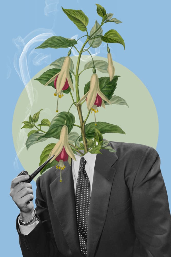 Gentleman with Flower Head by Marja van den Hurk — canvas wall art